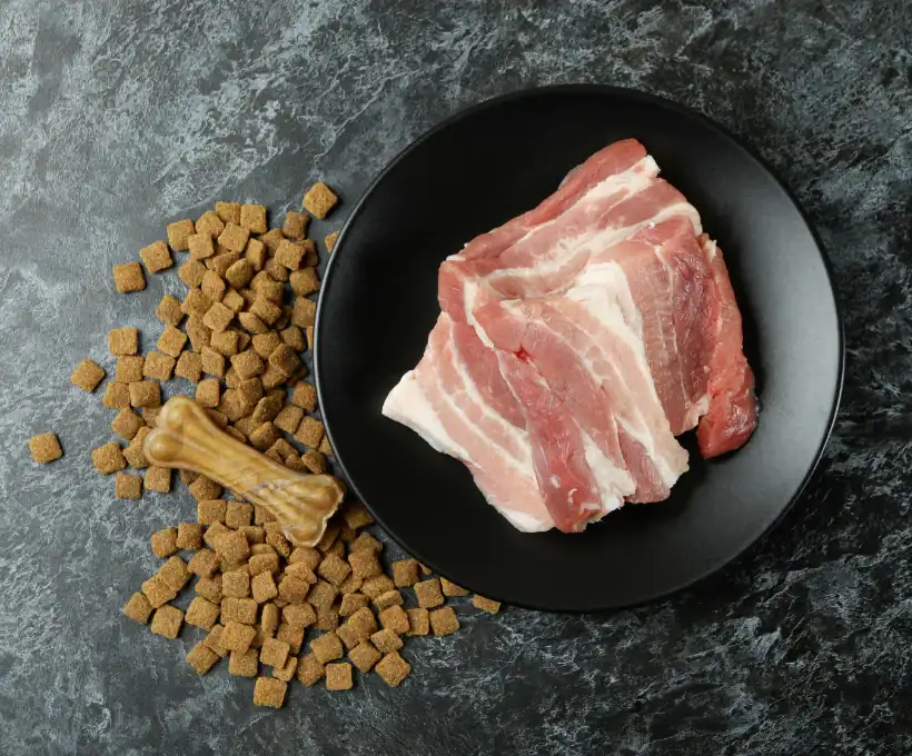 homemade dog food