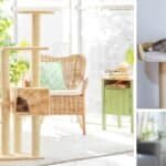 benefits of cat trees