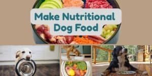 Making nutritional dog food at home