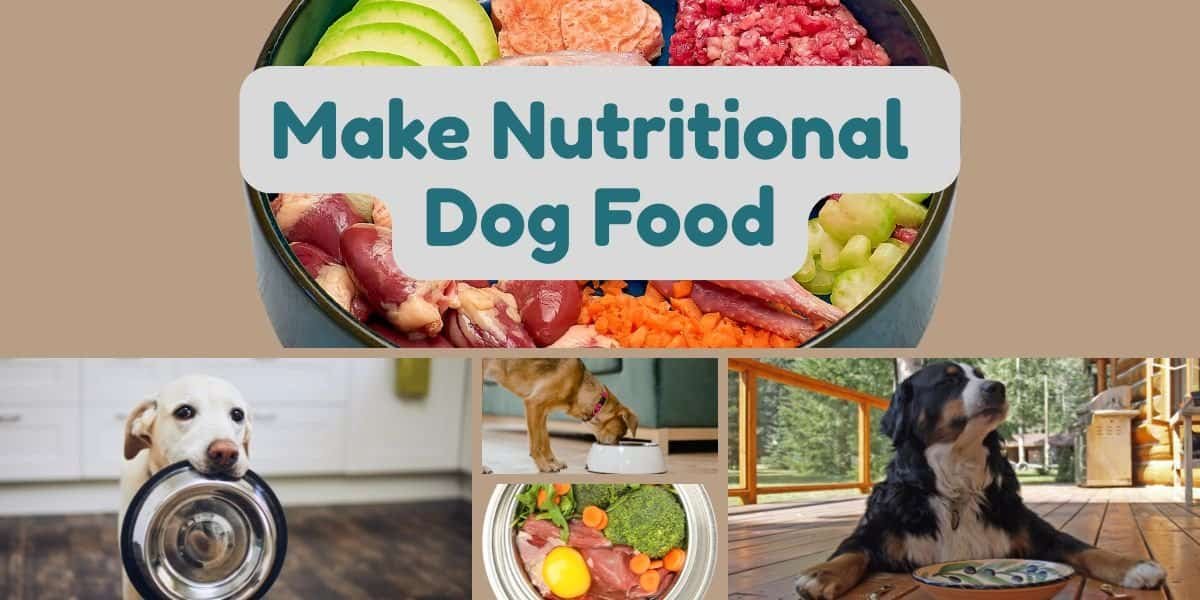 Making nutritional dog food at home