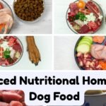 Balance Nutritional Homemade Dog Food