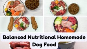 Balance Nutritional Homemade Dog Food