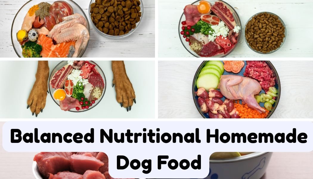 Balance Nutritional Homemade Dog Food