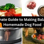 Making Balanced Homemade Dog Food