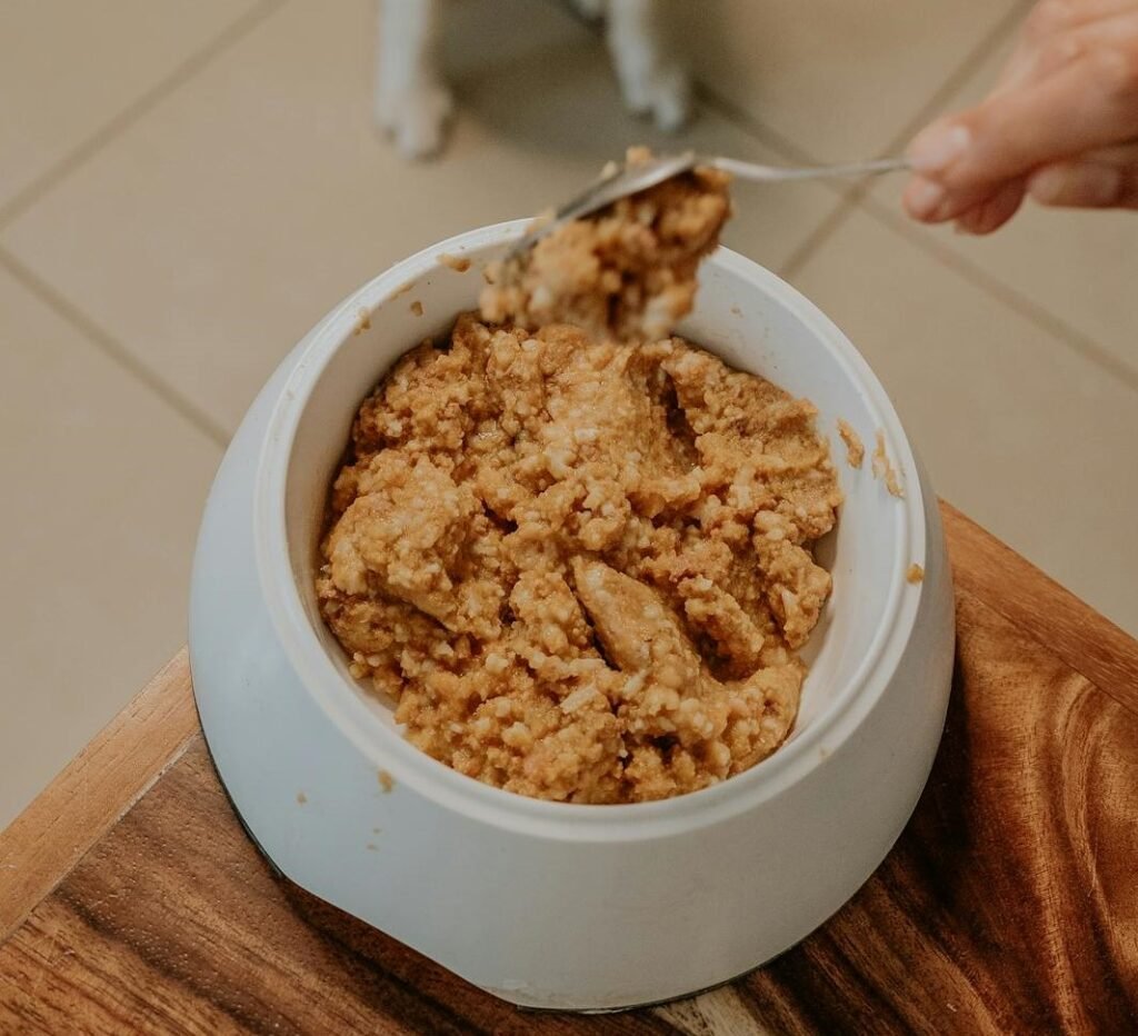 making balanced homemade dog food