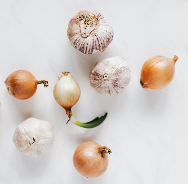 making balanced homemade dog food